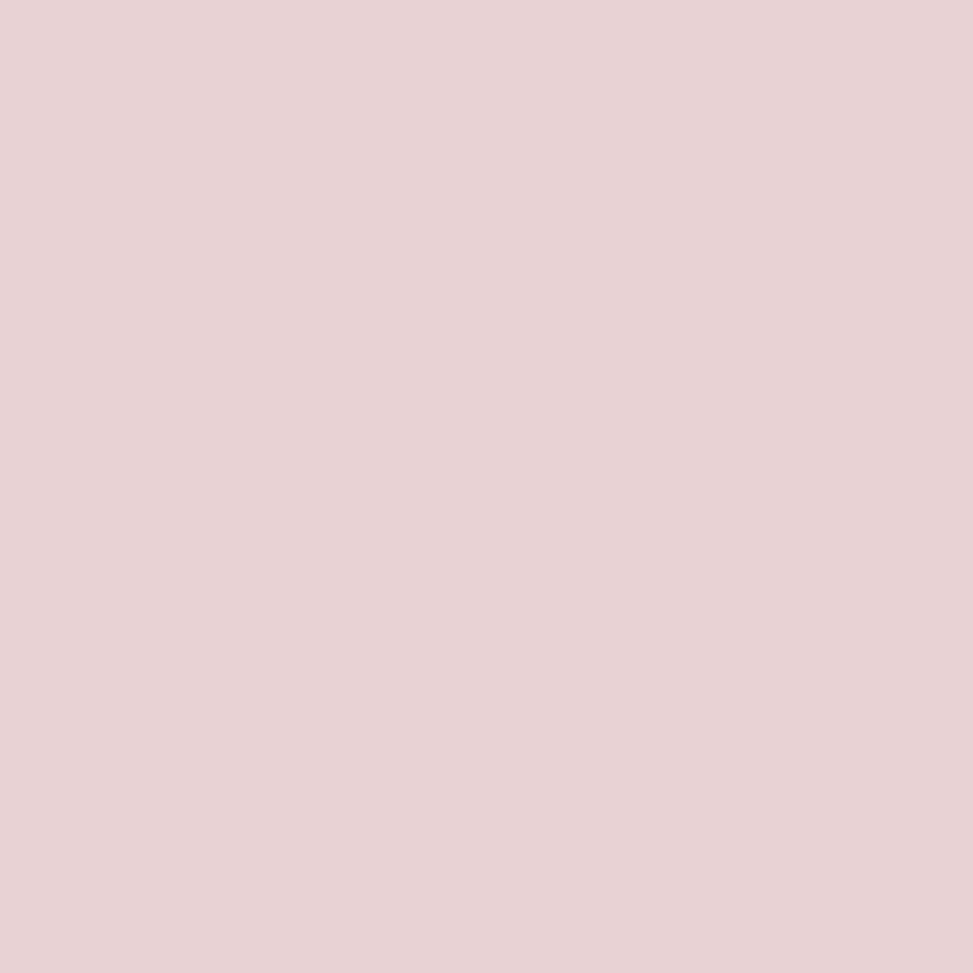Rambling Rose - Image 6